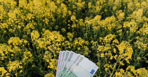 sgreen在苹果上怎么用