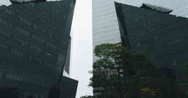 v2ray是什么